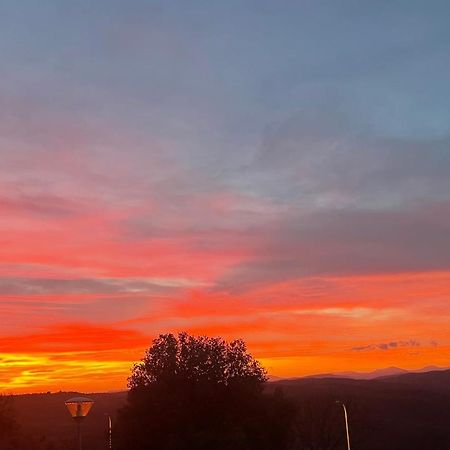 Il Tramonto Daire Montalcino Dış mekan fotoğraf