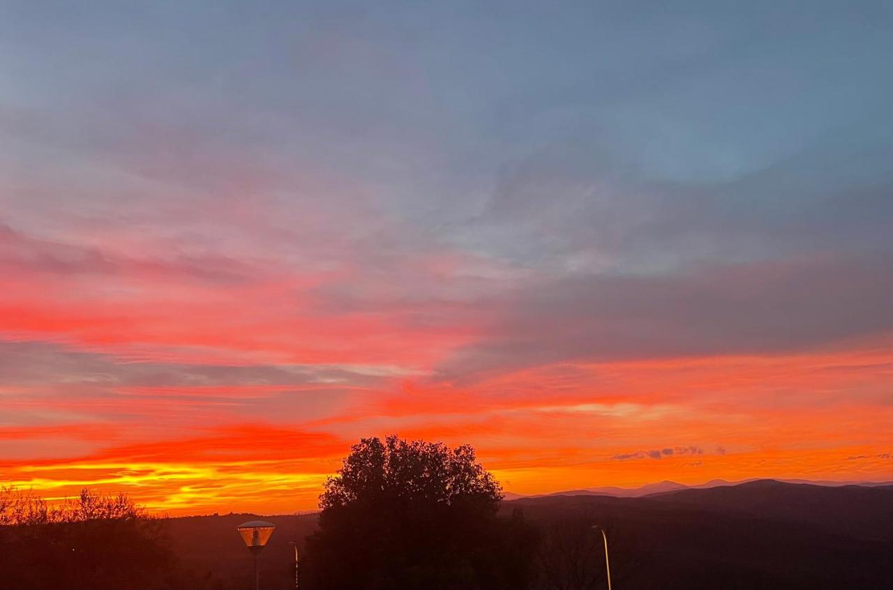 Il Tramonto Daire Montalcino Dış mekan fotoğraf